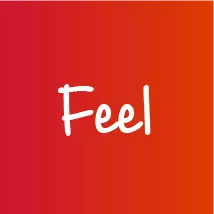 Feel Feel